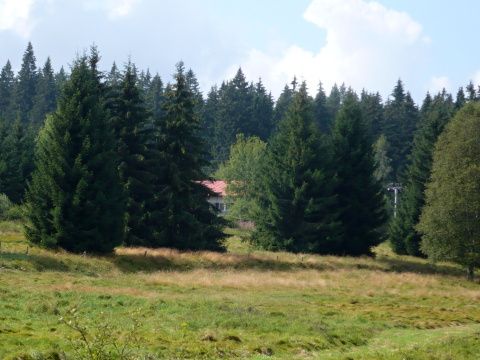 Foto 31
